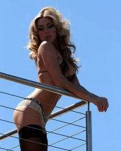 pic for Pitlane babe